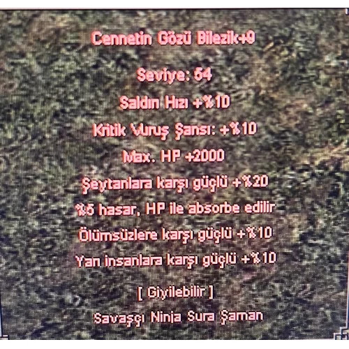  +9 CENNET BİLEZİK 5 EFSUN